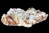 Small, Ruby Red Vanadinite Crystals on Barite - Morocco #100708-1